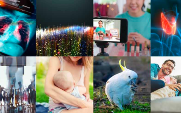 Cover image of ERC Starting Grants 2021 - project highlights 